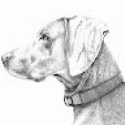 Avatar de JuanCamiloGonzlezFor