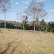 Avatar de MarcosSTEINHAUS