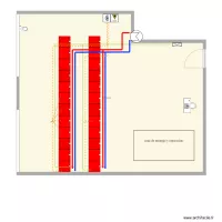 Planta olesa transversal
