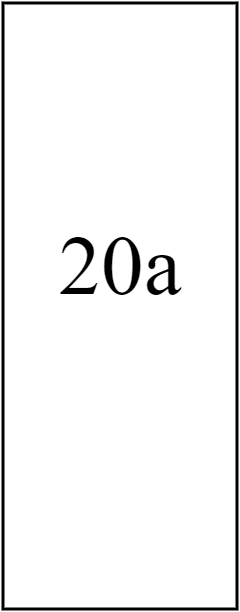 20a