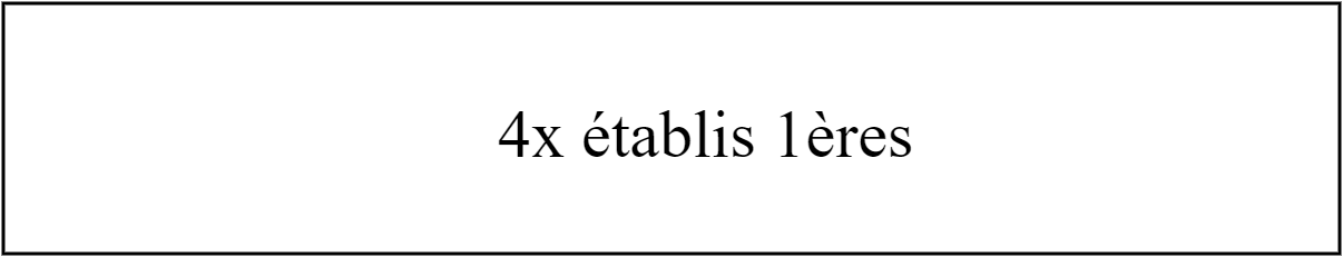 4x établi 1ères