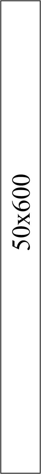 50x600