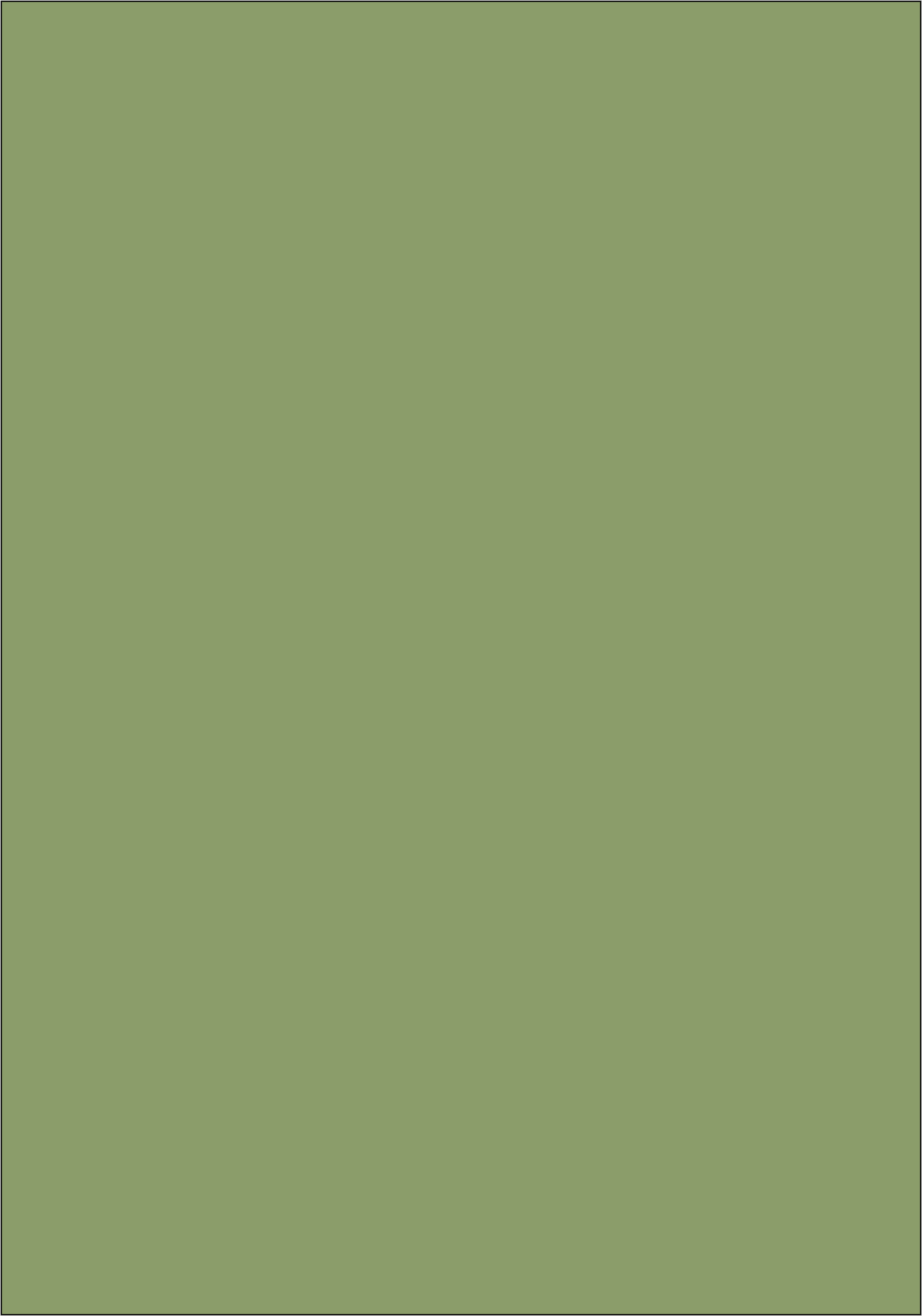 700 X 1000