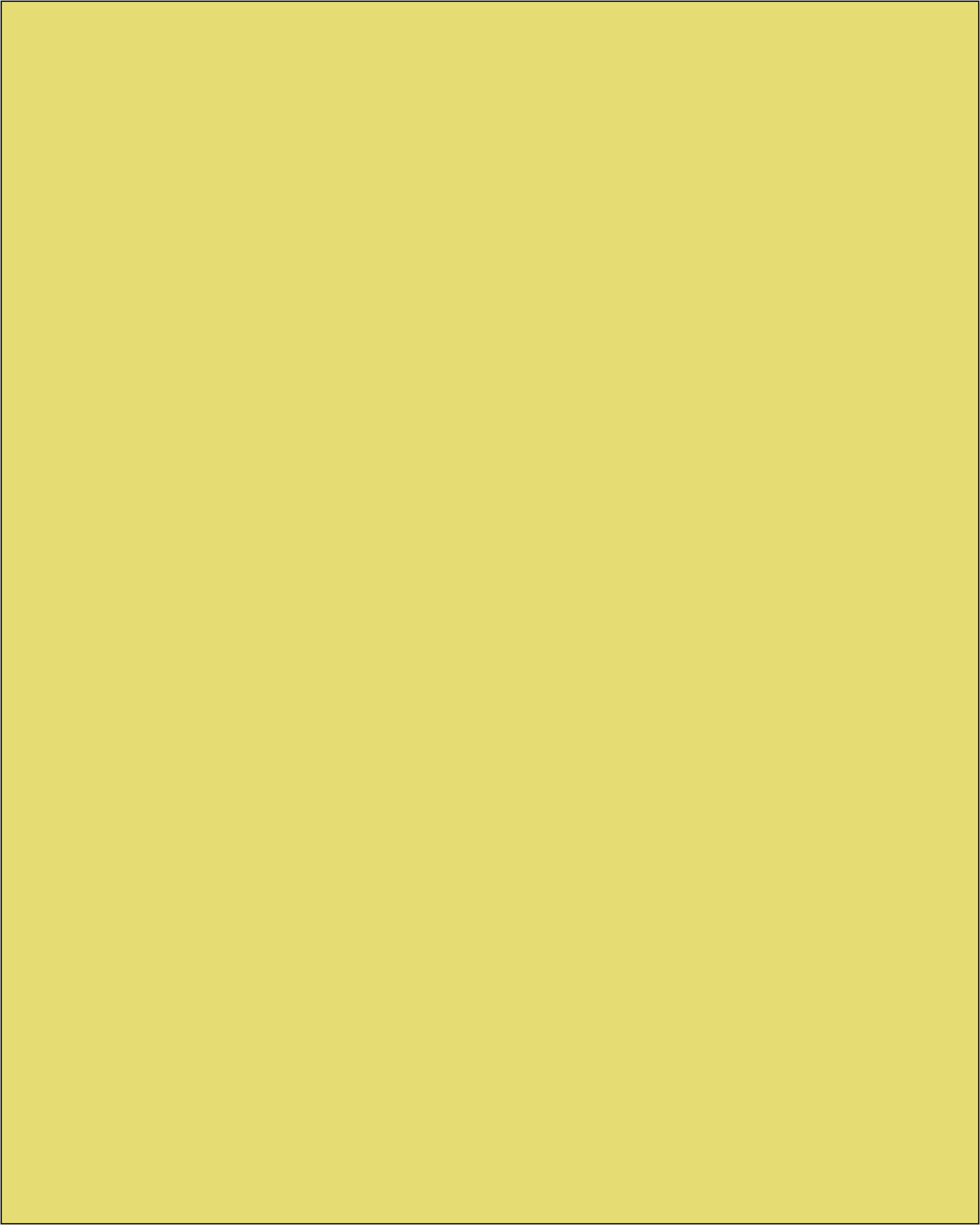 800 X 1000