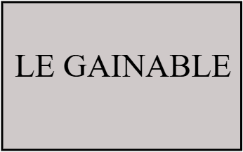 873138 Unité intérieur LE GAINABLE