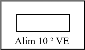 Alim 10 ² Voiture Elèctrique