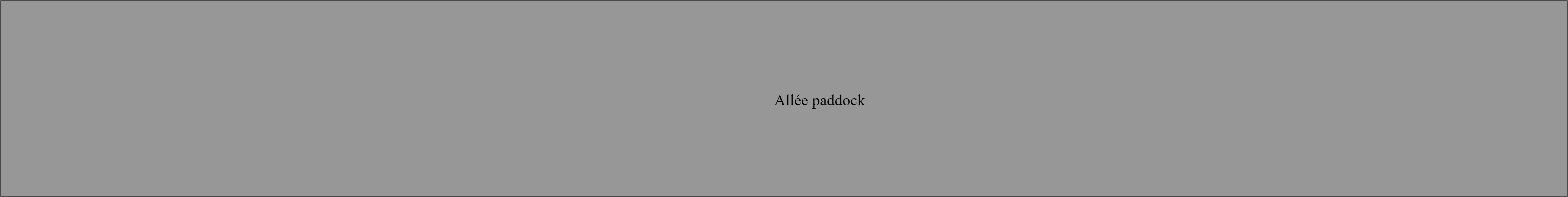 Allée paddock