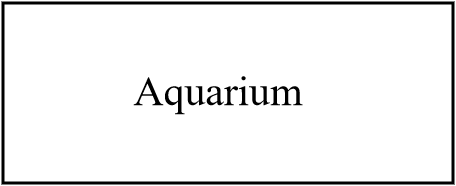 Aquarium