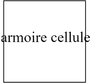 armoire celulle