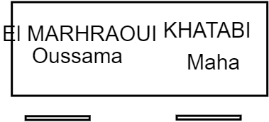 Armoire portes pliantes