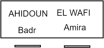 Armoire portes pliantes