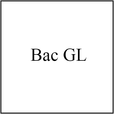 Bac GL 1.25M Utile