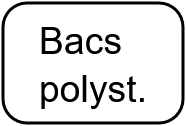 Bac Polystyrène