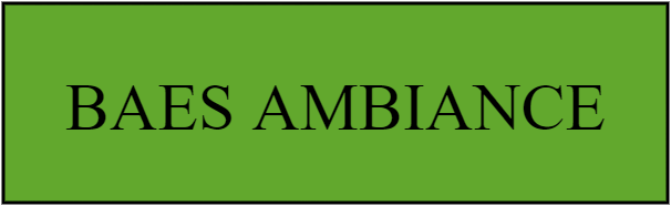 BAES AMBIANCE