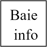 BAIE INFO