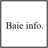 Baie info