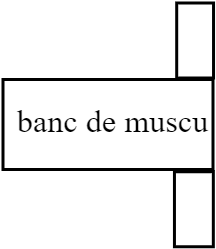 banc de muscu