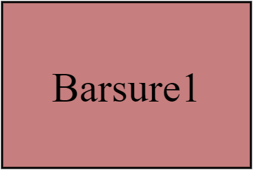 Barsure1