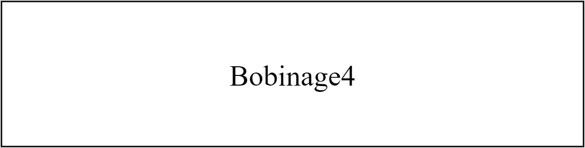 Bobinage4