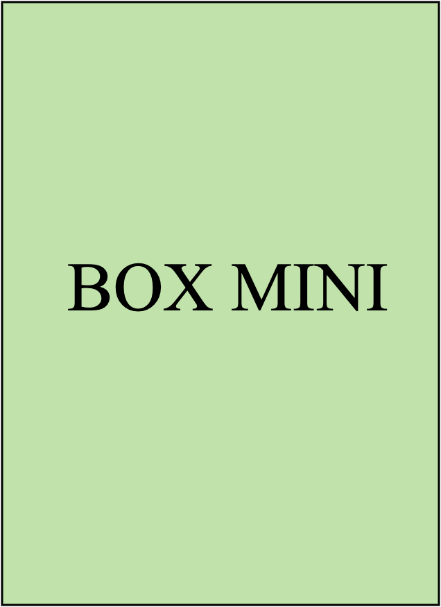 BOX MINI