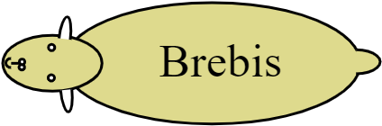 BREBIS