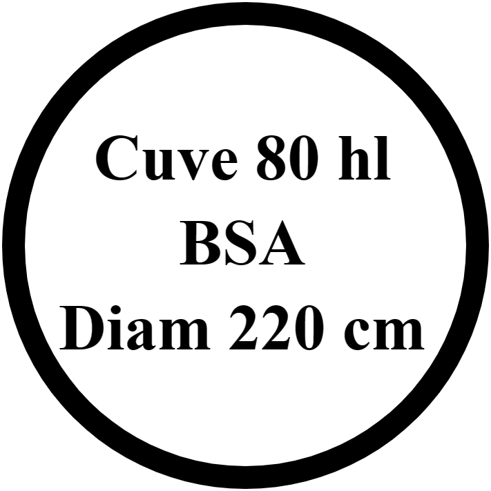 BSA Cuve 80 hl - Diam 224 cm