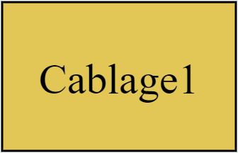 Cablage1