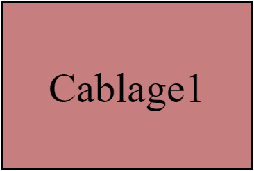 Cablage1