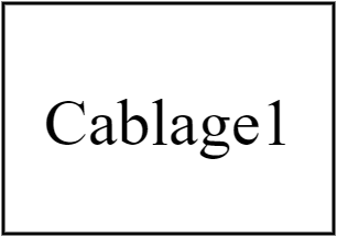 Cablage1