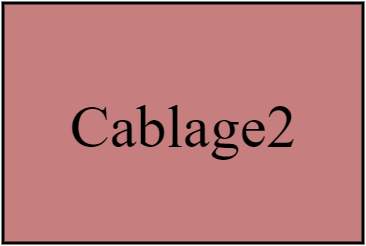Cablage2