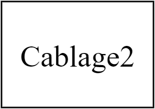 Cablage2