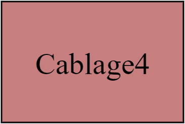 Cablage4