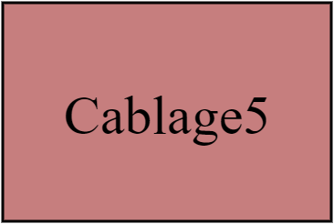 Cablage5