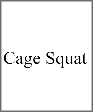 Cage Squat