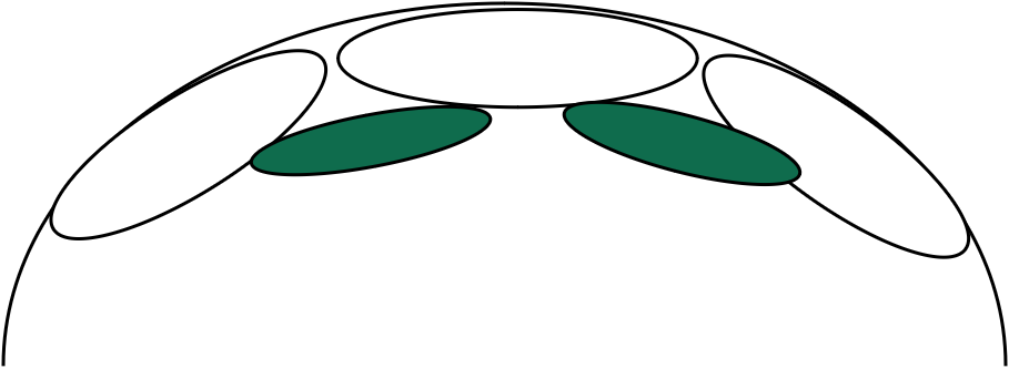 canapé Julia arrondi L246 coussins verts