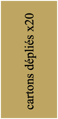 cartons dépliés x20