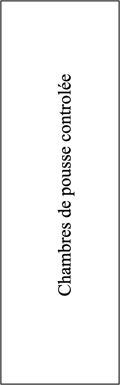 Chambre de pousse