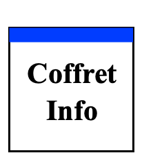 Coffret Info 60*60 21U