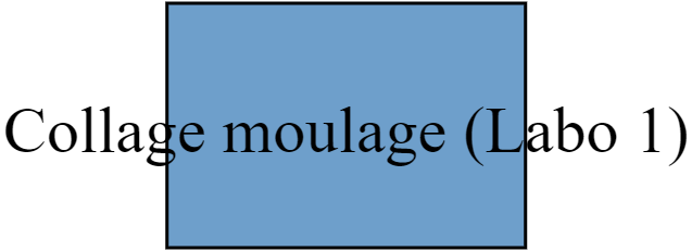 Collage moulage (Labo 1)