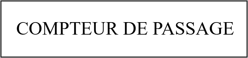 COMPTEUR DE PASSAGE