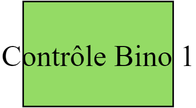 Contrôle Bino 1
