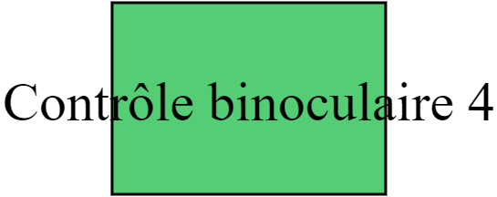 Contrôle binoculaire 4