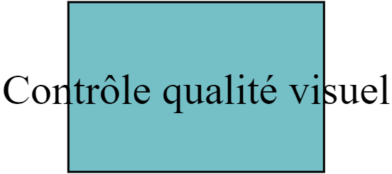 Contrôle qualité visuel
