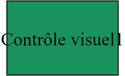 Contrôle visuel1