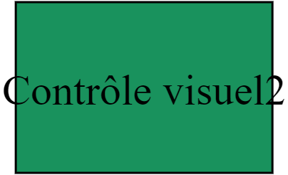 Contrôle visuel2