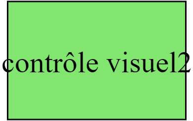 contrôle visuel2