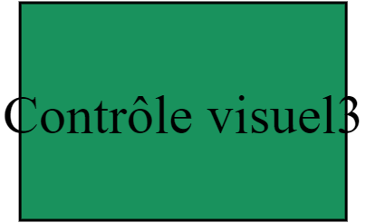 Contrôle visuel3