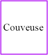 Couveuse hobby pro 500