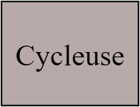 Cycleuse
