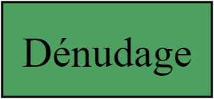 Dénudage